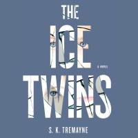The Ice Twins
