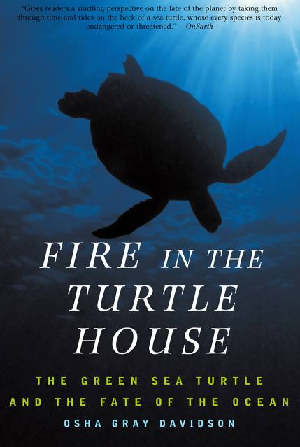 Fire In The Turtle House
