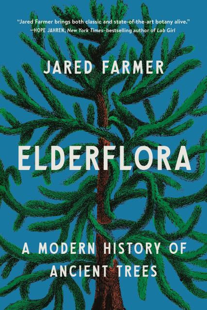 Elderflora