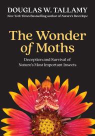 The Wonder of Moths